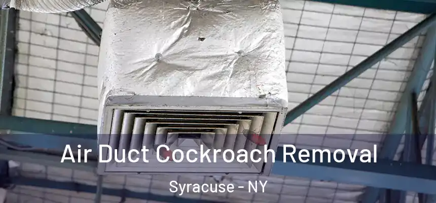 Air Duct Cockroach Removal Syracuse - NY