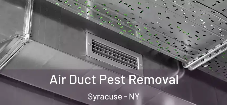 Air Duct Pest Removal Syracuse - NY