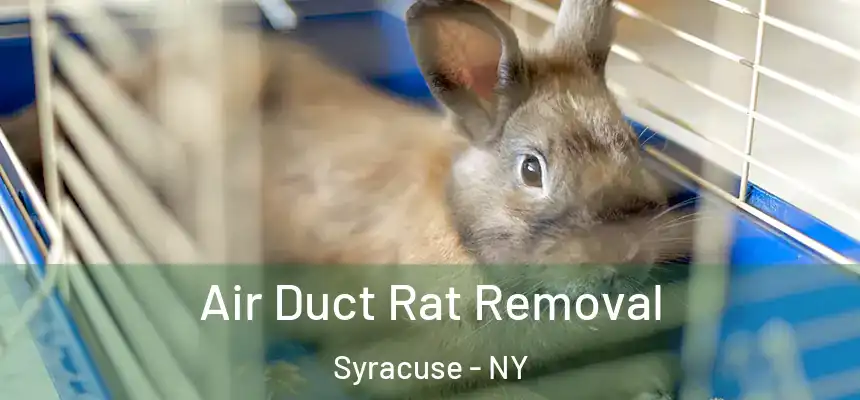 Air Duct Rat Removal Syracuse - NY