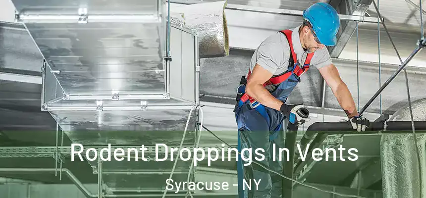  Rodent Droppings In Vents Syracuse - NY