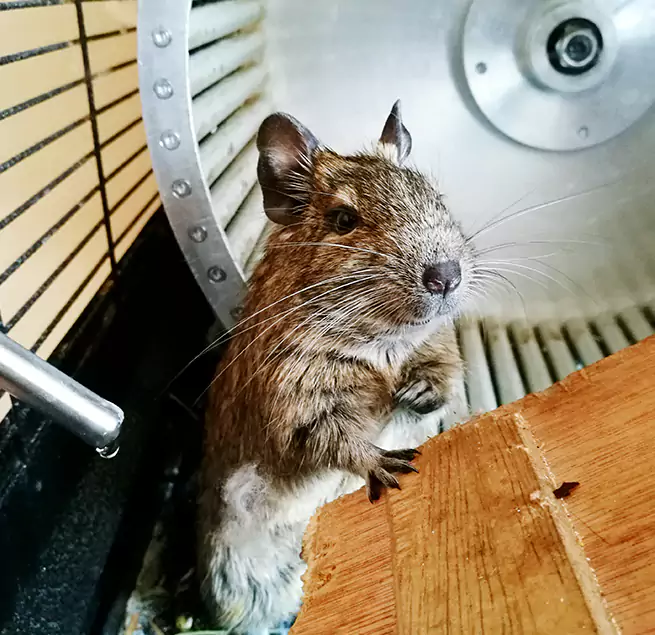 Why Homeowners & Businesses Trust Us Syracuse, NY?