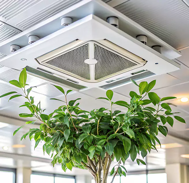 Why Homeowners & Businesses Trust Us in Syracuse, NY?